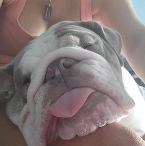 Meet your Posher, Beth